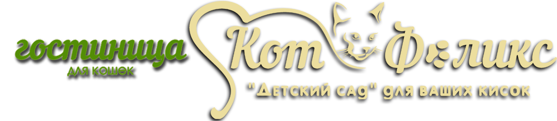 Кот Феликс