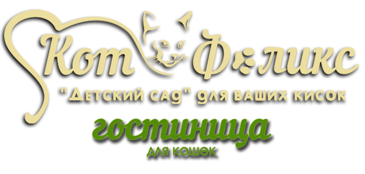 Кот Феликс